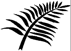 Palm Branch